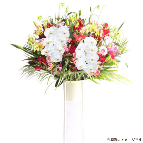 ĳꥹɲ 1 ԥ󥯡ַ 3