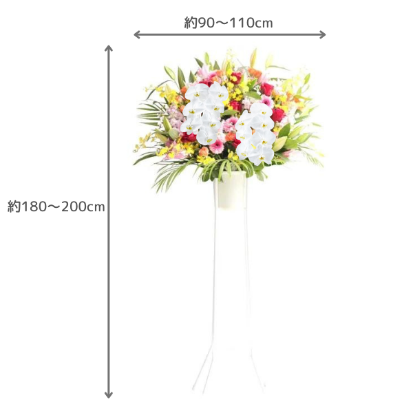 ĳꥹɲ 1 򡦥꡼ 3 2