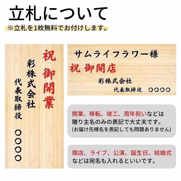 ĳꥹɲ 2 ԥ󥯡ַ 5 3