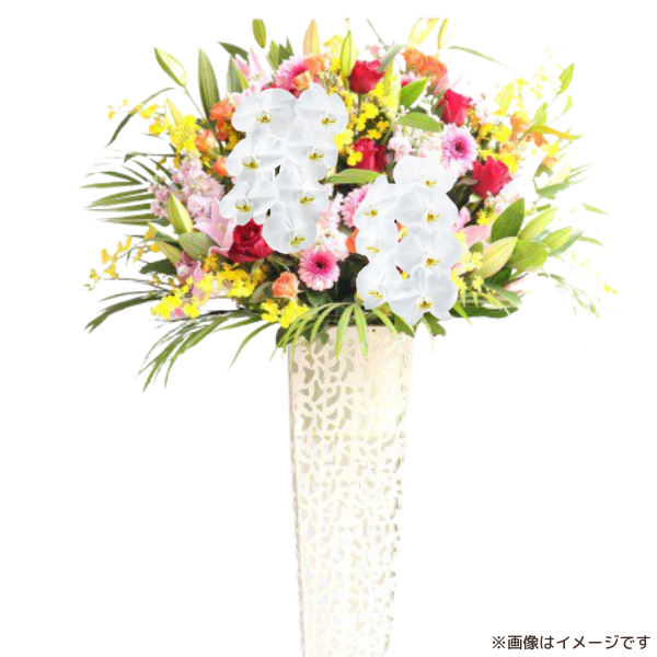 ĳꥹɲ ֥ꥭ ޤ 3ߡʼ