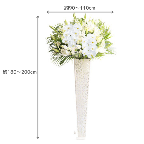 ĳꥹɲ ֥ꥭ ޤ 3ߡʼ 2