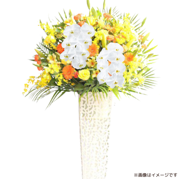 ĳꥹɲ ֥ꥭ 󥸷 3