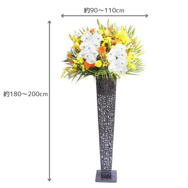 ĳꥹɲ ֥ꥭ ޤ 3 2