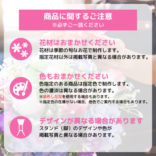 ĳꥹɲ ֥ꥭ ޤ 3 7