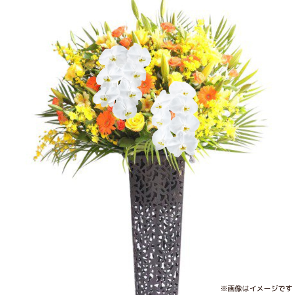 ĳꥹɲ ֥ꥭ 󥸷 3