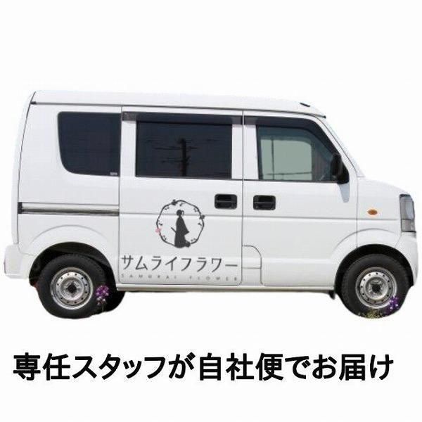 ĳꥹɲ ֥ꥭ 򡦥꡼ 3 6