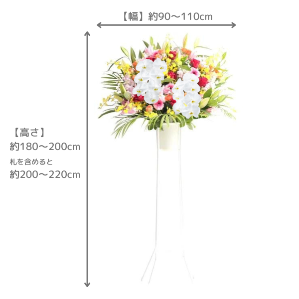 Х롼դĳꥹɲ 1 ԥ󥯡ַϢХ롼ʸġϰ 3