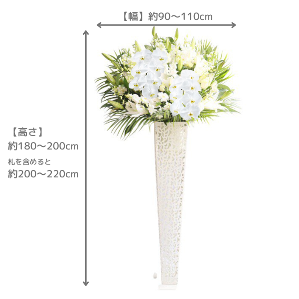 Х롼դĳꥹɲ ֥ꥭ ǤХ롼ʸġϰ 3