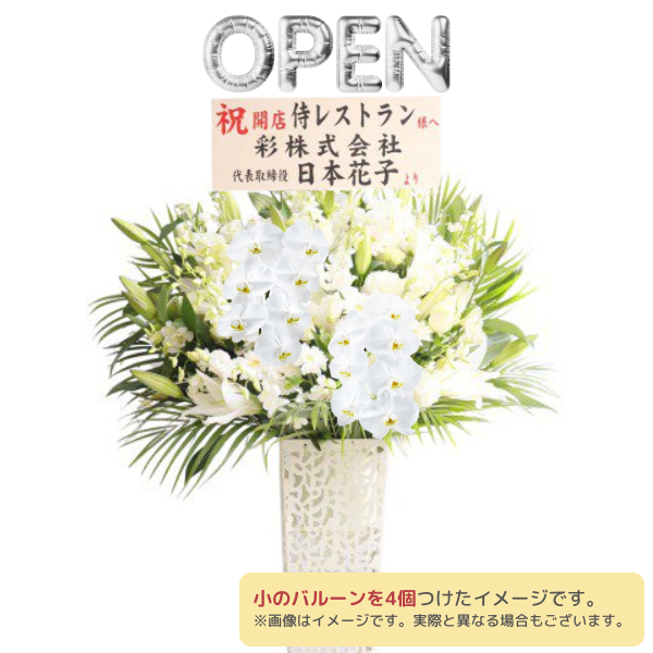 Х롼դĳꥹɲ ֥ꥭ 򡦥꡼ϢХ롼ʸġϰ