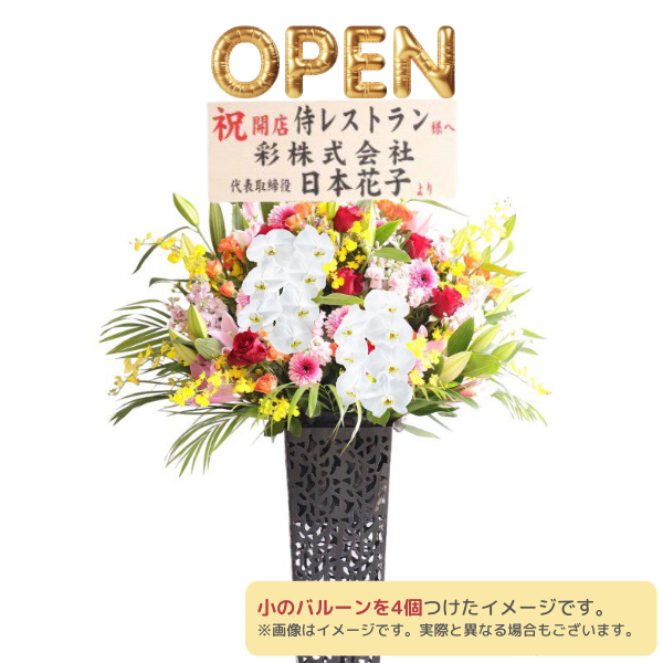 Х롼դĳꥹɲ ֥ꥭ ǤХ롼ʸġϰ