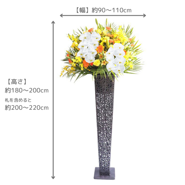 Х롼դĳꥹɲ ֥ꥭ ԥ󥯡ַϢХ롼ʸġϰ 3