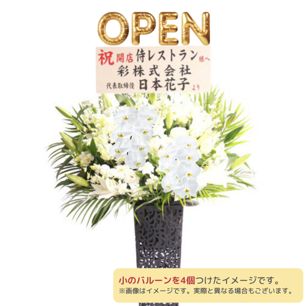 Х롼դĳꥹɲ ֥ꥭ 򡦥꡼ϢХ롼ʸġϰ 2