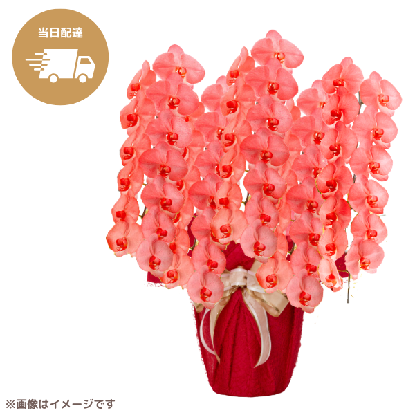 ã եĳ ֿ 5Ω 6570ذʾ墨Ĥܤߤޤϰ