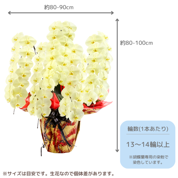 ã եĳ  5Ω 6570ذʾ墨Ĥܤߤޤϰ 2