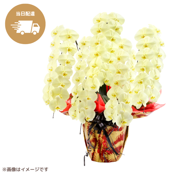 ã եĳ  5Ω 6570ذʾ墨Ĥܤߤޤϰ