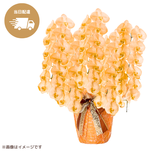 ã եĳ  5Ω 6570ذʾ墨Ĥܤߤޤϰ