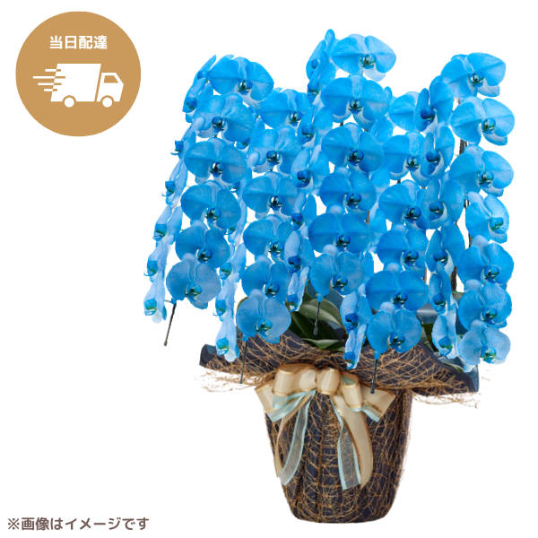 ã եĳ Ŀ 5Ω 6570ذʾ墨Ĥܤߤޤϰ