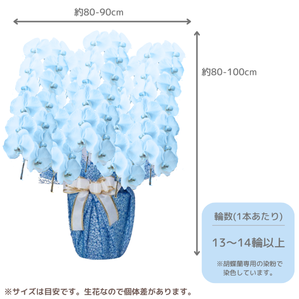 ã եĳ 忧 5Ω 6570ذʾ墨Ĥܤߤޤϰ 2