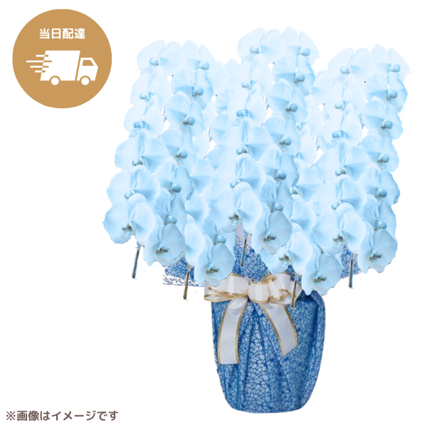 ã եĳ 忧 5Ω 6570ذʾ墨Ĥܤߤޤϰ