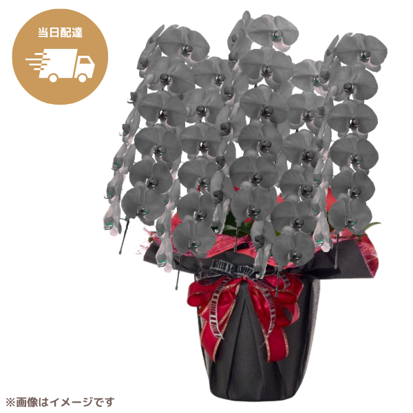 ã եĳ  5Ω 6570ذʾ墨Ĥܤߤޤϰ