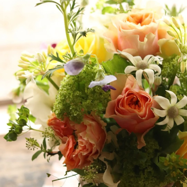 ıĴۥ 󥸥ȥե ʥ륤󥸷 3