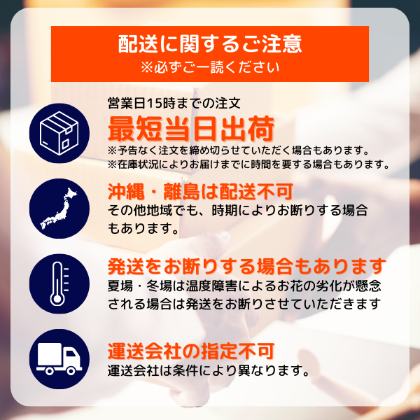 ıĴۥ 󥸥ȥե ʥ륤󥸷 9