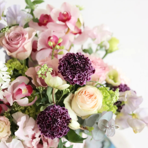 ıĴۥ 󥸥ȥե ʥԥ󥯡ѡץ 2