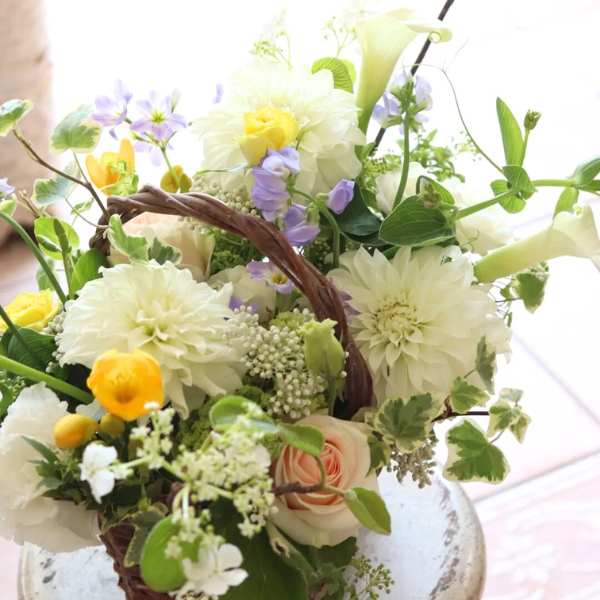 ıĴۥ Хåȥ ʥۥ磻ȷ