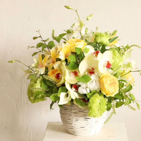 ıĴۥ 󥸥ȥե ʥ륤Ϣĳ