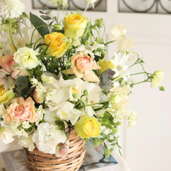 ıĴۥ 󥸥ȥե ʥ饤ȥ 2