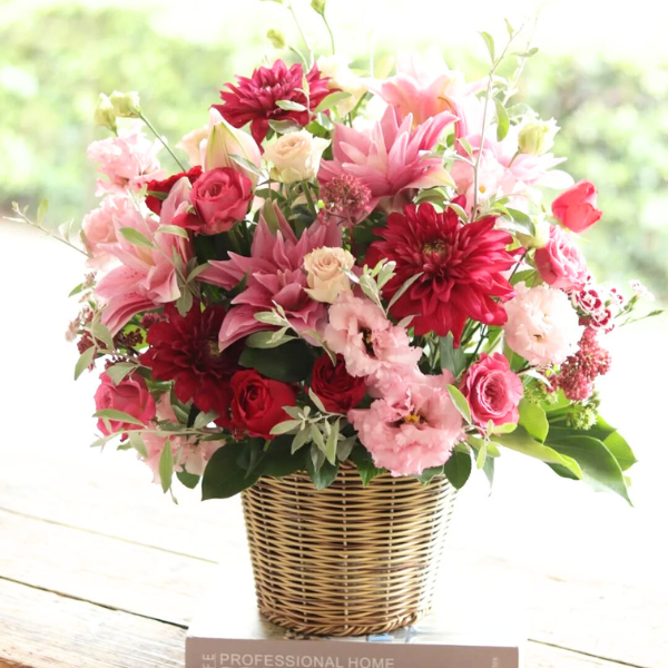 ıĴۥ 󥸥ȥե ʥԥ󥯡åɷ