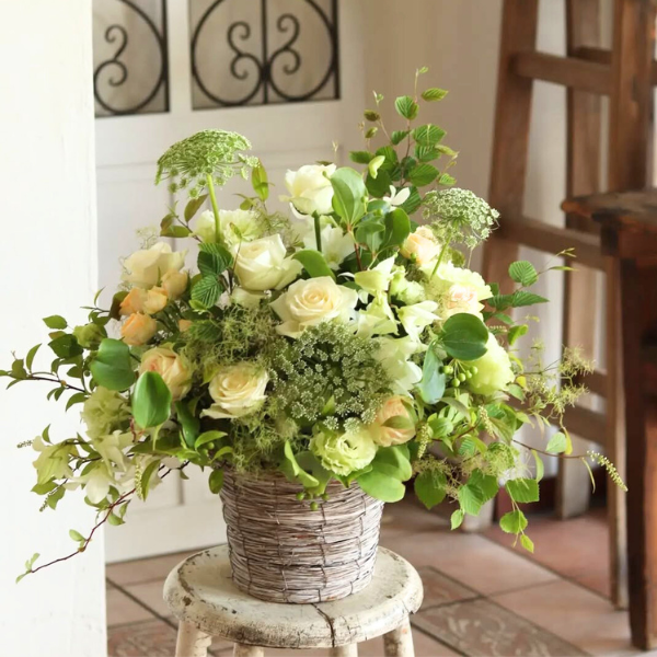 ıĴۥ 󥸥ȥե ʥۥ磻ȡ꡼