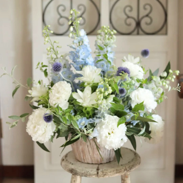 ıĴۥ 󥸥ȥե ʥۥ磻ȡ֥롼