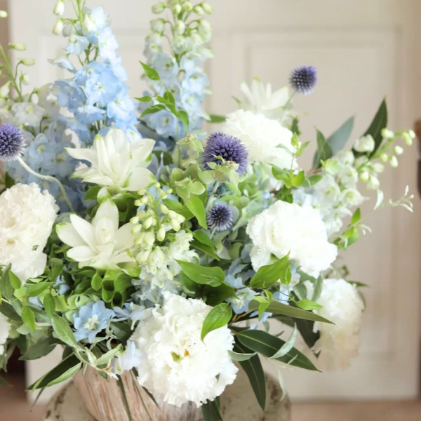 ıĴۥ 󥸥ȥե ʥۥ磻ȡ֥롼 2