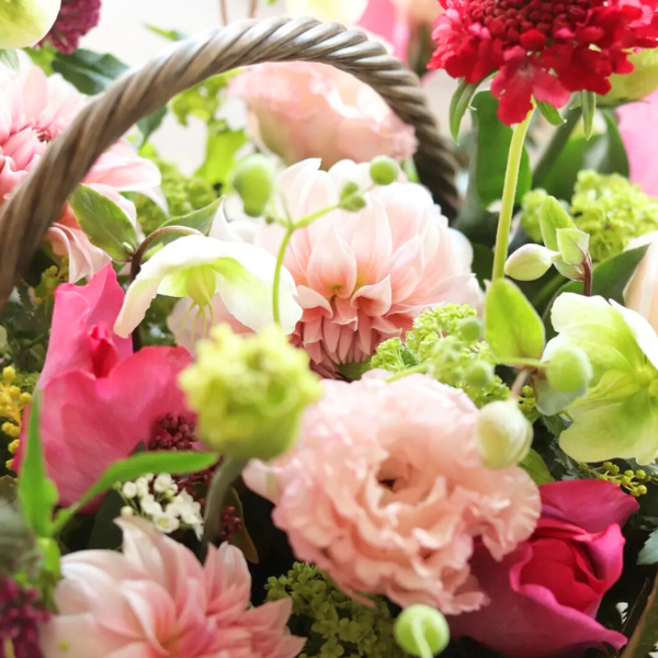 ıĴۥ Хåȥ ʥԥ󥯡åɷ 3