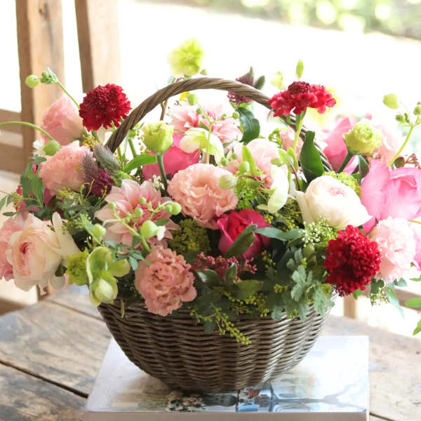 ıĴۥ Хåȥ ʥԥ󥯡åɷ