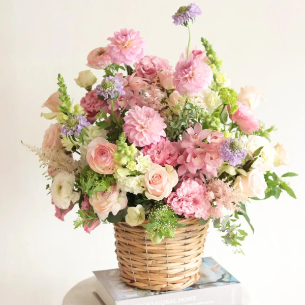 ıĴۥ 󥸥ȥե ʥ饤ȥԥ󥯷