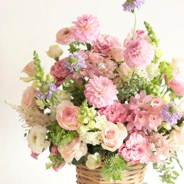 ıĴۥ 󥸥ȥե ʥ饤ȥԥ󥯷 2