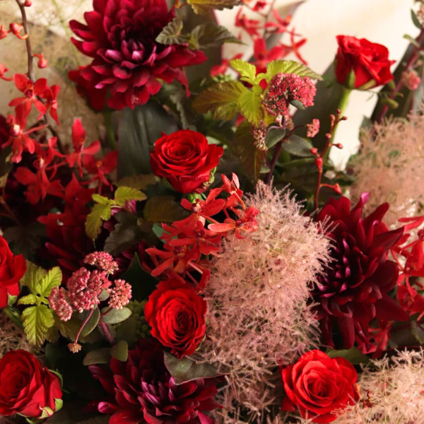 ıĴۥ 󥸥ȥե ʥåɷ 3