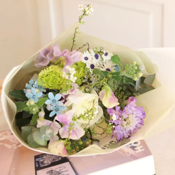 ıĴۥ «֡ ʥ֥롼ѡץ