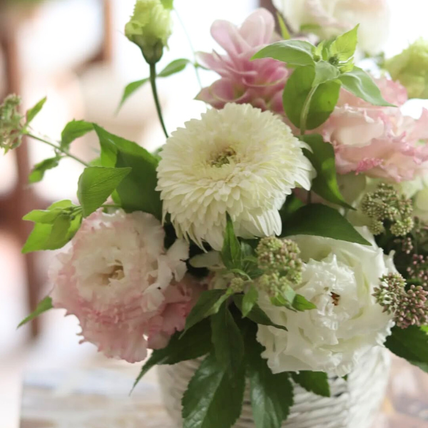 ıĴۥ ѥ󥸥ȥե ʥۥ磻ȡԥ󥯷 2