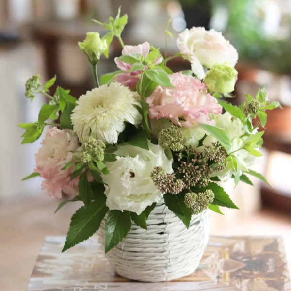 ıĴۥ ѥ󥸥ȥե ʥۥ磻ȡԥ󥯷