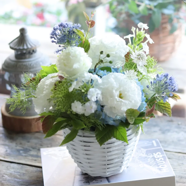 ıĴۥ ѥ󥸥ȥե ʥۥ磻ȡ֥롼