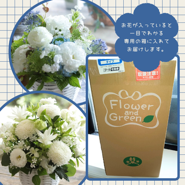 ıĴۥ ѥ󥸥ȥե ʥۥ磻ȡ֥롼 5