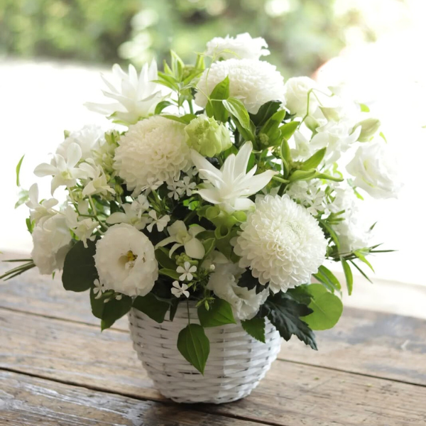 ıĴۥ ѥ󥸥ȥե ʥۥ磻ȷ