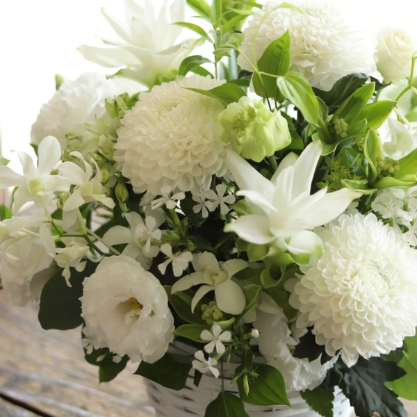 ıĴۥ ѥ󥸥ȥե ʥۥ磻ȷ 2