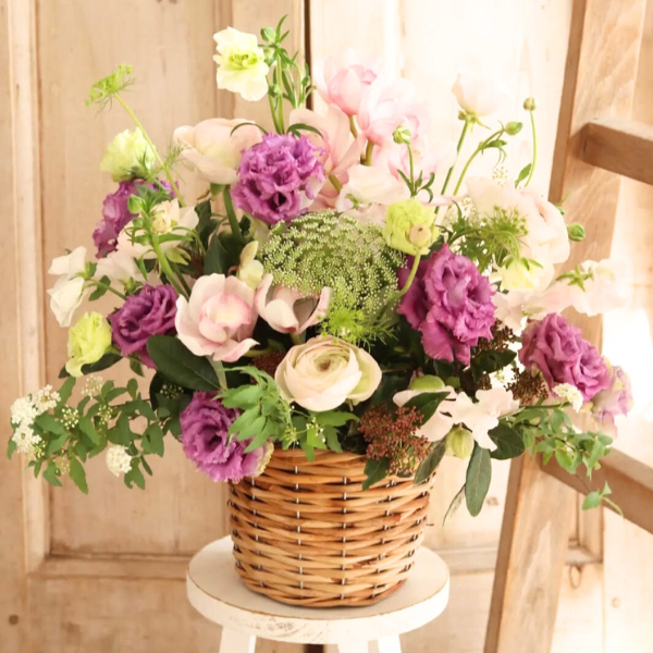 ıĴۥ ѥ󥸥ȥե ʥԥ󥯡ѡץ