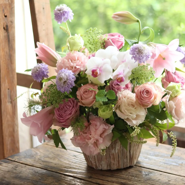 ıĴۥ ѥ󥸥ȥե ʥԥ󥯷Ϣĳ