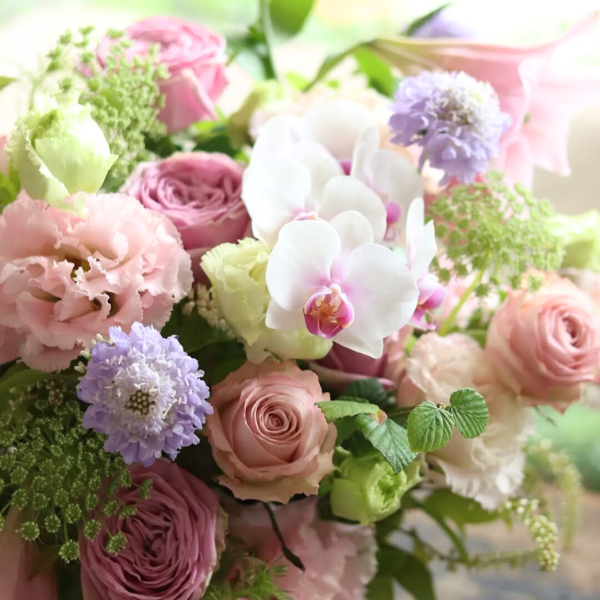 ıĴۥ ѥ󥸥ȥե ʥԥ󥯷Ϣĳ 2