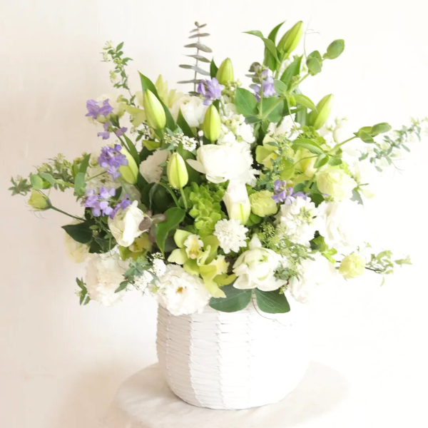 ıĴۥ ѥ󥸥ȥե ʥۥ磻ȷ